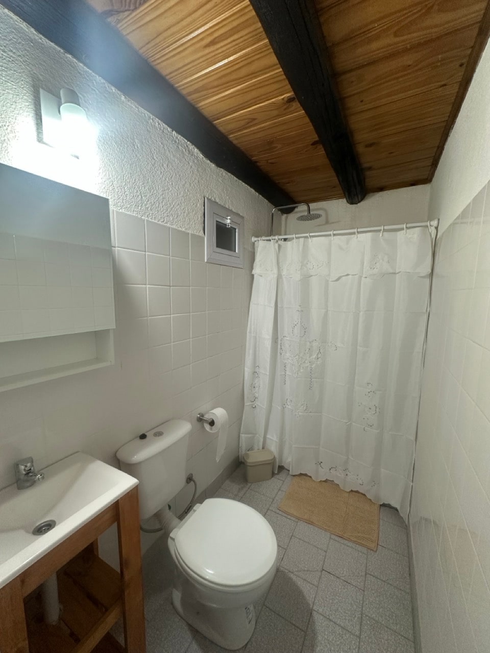 Baño equipado con ducha dentro de una cabaña